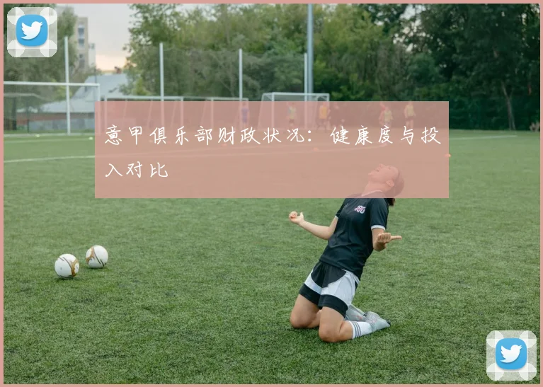 意甲俱乐部财政状况：健康度与投入对比